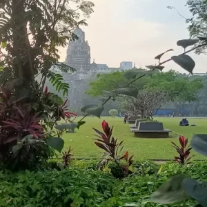 unnamed - 2025-05-31T211239.526