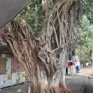 unnamed - 2025-05-31T211350.339