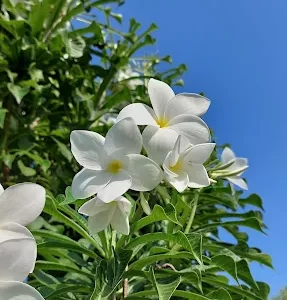 unnamed - 2025-05-31T211554.233