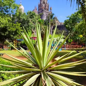 unnamed - 2025-05-31T212201.358